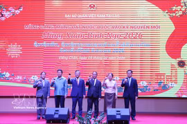 越南驻老挝大使与老挝党和国家领导共同举杯，庆祝农历丙午马年新春。图自越通社