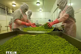 安江蔬水股份公司大豆加工链。图自越通社