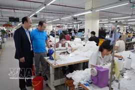 旅加越南人提出连接侨胞资源与民营经济的三项建议