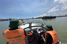 岘港市坚决严厉打击非法捕捞行为
