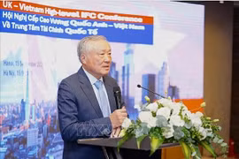 越南政府常务副总理阮和平发表讲话。图自越通社