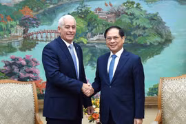 裴青山外长会见古巴外交部第一副部长赫拉尔多·佩尼亚尔韦尔·波塔尔。图自越通社