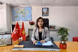 2026年春季博览会：与中国香港的商业合作前景