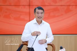 黎明兴总理：芹苴需注重研究特殊机制以推动全面发展