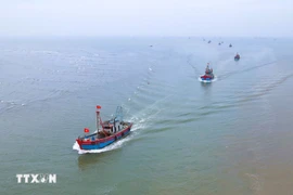 政府总理范明政于2025年10月17日签发关于集中开展打击非法、不报告和不管制（IUU）捕捞的行动月活动，并促进越南渔业可持续发展的第198/CĐ -TTg号通知。图自越通社