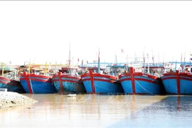 越南宁平省加大宣传力度 坚决打击 IUU 捕捞