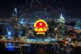 越南加强数字数据——国家资源的扩展与保护