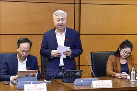 北江省代表陈文林。图自越通社