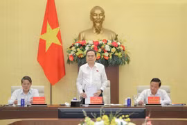 越南国会主席陈青敏发表讲话。图自daibieunhandan.vn