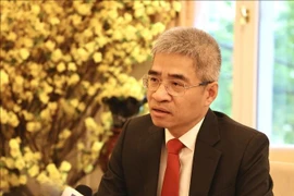 越南驻德国大使阮得成接受越通社记者的采访。图自越通社