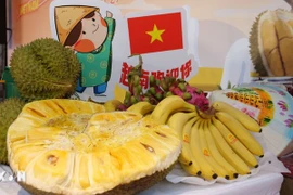 越南多种农林水产品成功出口中国并深受消费者喜爱