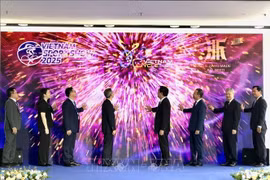 开幕式场景。图自越通社