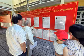 候选人名单和个人简介均公开展示。图自越通社