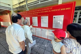 候选人名单和个人简介均公开展示。图自越通社