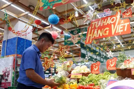 政府总理要求实施2025年国内市场发展措施。图自越通社