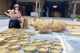 保罗竹藤编织手工艺村作品。图自互联网