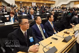 越南代表团。图自越通社