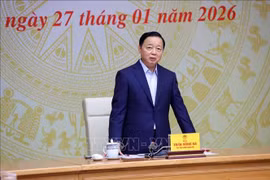 越南政府副总理——打击非法、不报告和不受管制（IUU）捕捞国家指导委员会主任陈红河发表讲话。图自越通社