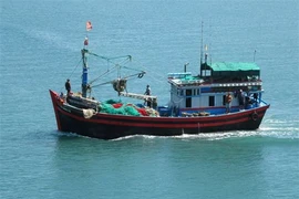 附图 图自越通社