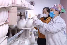 2025年1月越南全国复工复产企业数量创新高