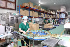 庆和省燕窝生产厂。图自越通社
