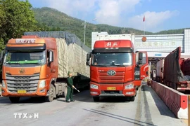 加快农产品出口通关手续办理速度。图自越通社