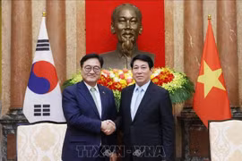 越南国家主席梁强会见韩国国会议长禹元植。图自越通社