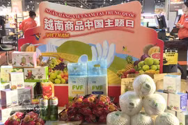 越中贸易往来保持积极增长态势 为推动两国关系发展注入动力