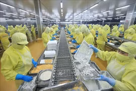 明富水产品股份公司虾类加工链。图自越通社