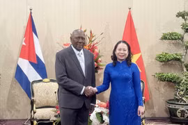 越南国家副主席武氏映春会见古巴国家副主席萨尔瓦多·巴尔德斯·梅萨。图自越通社