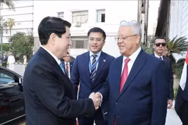 越南国家主席梁强会见埃及众议院议长哈纳菲·贾巴利。图自越通社