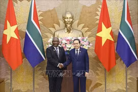 越南国会主席陈青敏会见南非总统拉马福萨。图自越通社