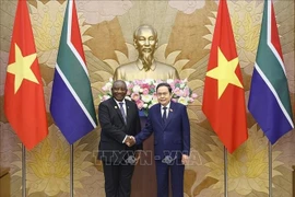 越南国会主席陈青敏会见南非总统拉马福萨。图自越通社