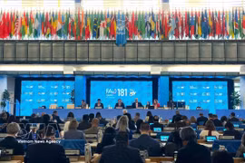6月8日至12日，联合国粮食及农业组织（FAO）理事会第181届会议在意大利罗马总部举行。图自越通社