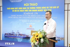 胡志明市贸易与投资促进中心主任陈富旅在研讨会上发表讲话。图自越通社