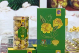 宁平省推动生态有机农业与旅游融合发展