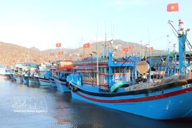 庆和省全力推进打击IUU非法捕捞 力争尽早解除“黄牌”警告