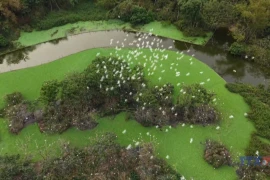 回归大自然，探索通岩生态旅游区 享受宁静与多彩生活之美