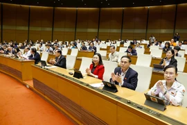 越南国会代表表决通过多项重要法律。图自越通社