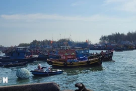 胡志明市所有符合条件的渔船均已获许可。图自越通社