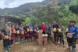 紧急调拨救灾物资支援奠边和山罗省受灾群众。图自越通社