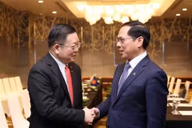 越南政府副总理兼外交部长裴青山会见东盟秘书长高金洪。图自越通社