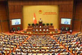 一周要闻：越南国会尽快审议决定紧迫问题 力促国家新纪元发展 