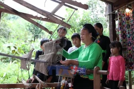 保护与弘扬岱依族文化特色