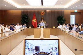 4月13日下午，越南政府副总理、关于ODA与优惠贷款资金国家指导委员会主任裴青山主持召开指导委员会会议。图自越通社