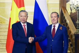 越共中央总书记苏林会见俄罗斯统一俄罗斯党主席德米特里·梅德韦杰夫。图自越通社