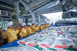 金瓯石油肥料股份公司向美国出口首批4万吨肥料。图自Petrovietnam
