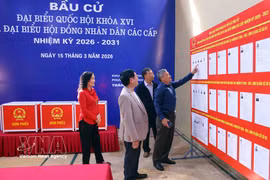 河内市巴亭坊为越南国会和各级人民议会选举准备工作基本就绪。图自越通社