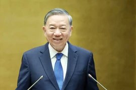 苏林总书记：点燃改革之光 汇聚梦想力量 迈向实干征程