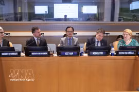 越南常驻联合国代表团团长杜雄越大使主持座谈会。图自越通社